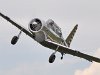 36DSC 0083a10a