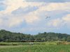 IMG 1889