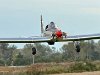 DSC 0299a3a