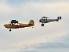 DSC 0460a3a