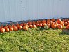 2013 Punkin Drop - 009