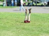 DSC07062