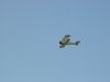 DSC07105