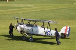 col-09-starks-137-250.jpg (73467 bytes)